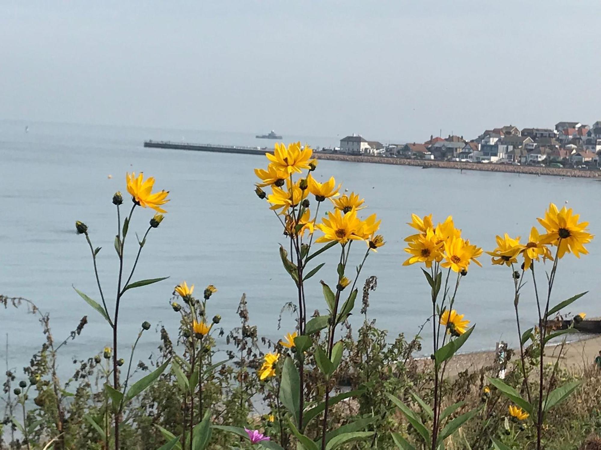 Once Upon A Tide Apartment Herne Bay Bagian luar foto